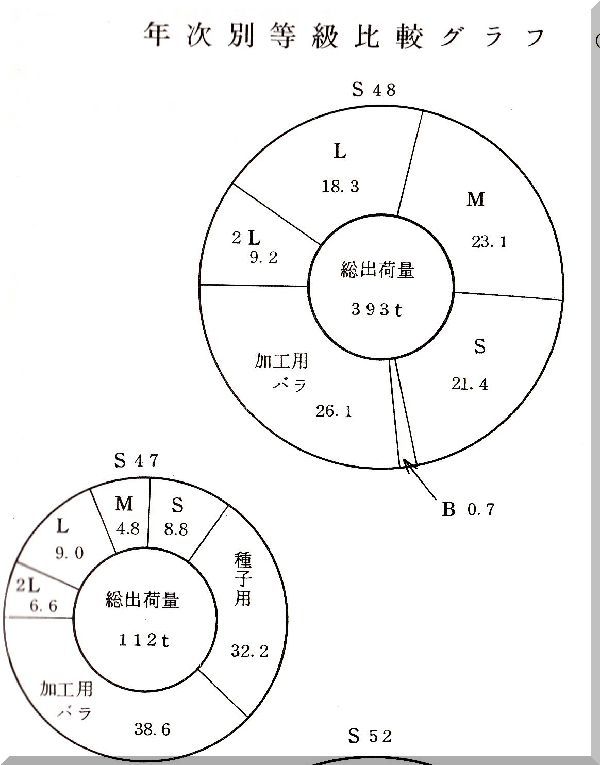 年次別等級比較グラフ