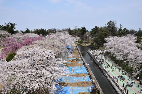 hirosaki (2).JPG