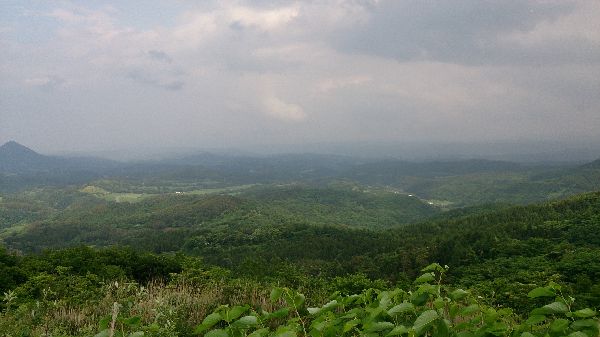 ooguro_600.jpg